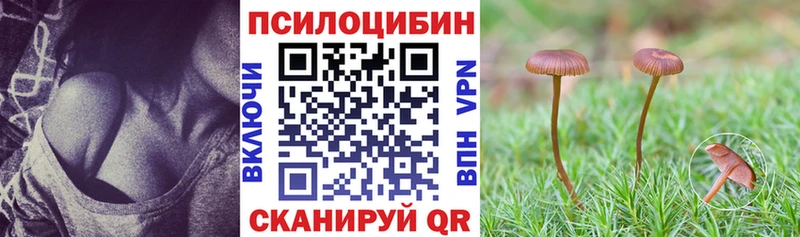 Купить закладки Донецк Псилоцибиновые грибы Psilocybe